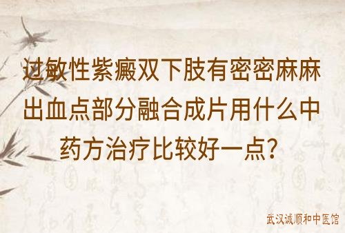 过敏性紫癜双下肢有密密麻麻出血点部分融合成片用什么中药方治疗比较好一点？