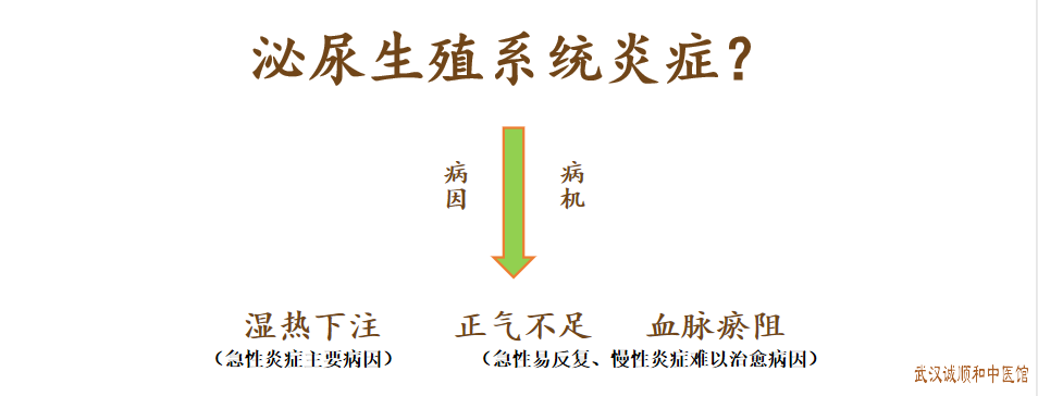 中医为什么说泌尿生殖系统炎症尿频急痛性功能障碍的病机不能忽视正气不足？