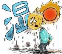 夏天体内湿热过重头晕身热周身酸沉乏力恶心呕吐胸中不舒服吃什么中药调