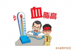 肥胖导致的高血脂症中医如何治疗效果好？