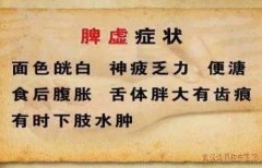 脾胃不好胃口差经常腹胀湿气重大便粘马桶不成形整个人有气无力用什么中