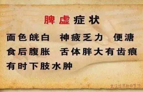 脾胃不好胃口差经常腹胀湿气重大便粘马桶不成形整个人有气无力用什么中药调理好？