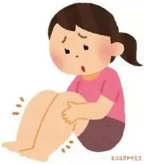武汉妇科老中医：腿肿胀乏力手起小水泡月经期发热口苦是怎么回事?用什么中药调理好？