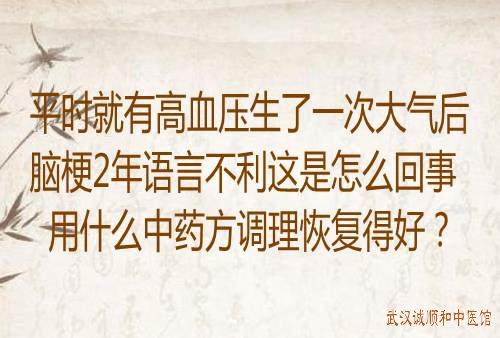 平时就有高血压生了一次大气后脑梗2年语言不利这是怎么回事用什么中药方调理恢复得好？