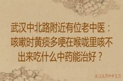 武汉中北路附近有位老中医：咳嗽时黄痰多哽在喉咙里咳不出来吃什么中药