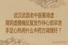 武汉武昌老中医看肾虚：肾阴虚腰痛反复发作伴心烦早泄手足心热用什么中