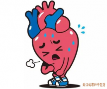 妊娠期病毒性心肌炎心率失常头晕乏力精神差中医如何治疗有效果？