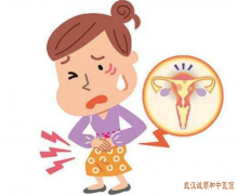 阴虚内热型细菌性阴道炎外阴部灼热瘙痒、心烦易怒中医如何治疗能缓解？