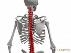 胸腰椎骨折神经功能损伤和肢体障碍中医药能治疗吗有什么益处?
