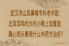 武汉洪山耳鼻喉专科老中医：左耳耳鸣时大时小晚上加重急躁心烦头晕用什