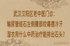 武汉汉阳区老中医门诊：输尿管结石左侧腰部绞痛德冷汗湿衣用什么中药治