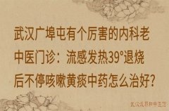 武汉广埠屯有个厉害的内科老中医门诊：流感发热39°退烧后不停咳嗽黄痰中