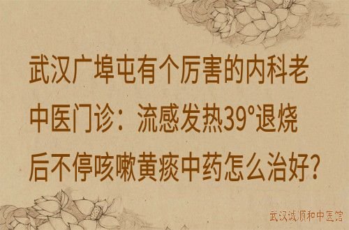 武汉广埠屯有个厉害的内科老中医门诊：流感发热39°退烧后不停咳嗽黄痰中药怎么治好？