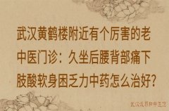 武汉黄鹤楼附近有个厉害的老中医门诊：久坐后腰背部痛下肢酸软身困乏力