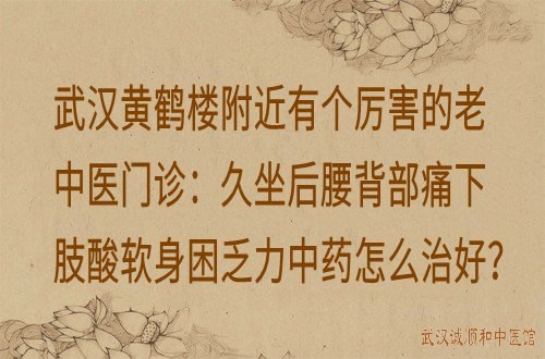 武汉黄鹤楼附近有个厉害的老中医门诊：久坐后腰背部痛下肢酸软身困乏力中药怎么治好？