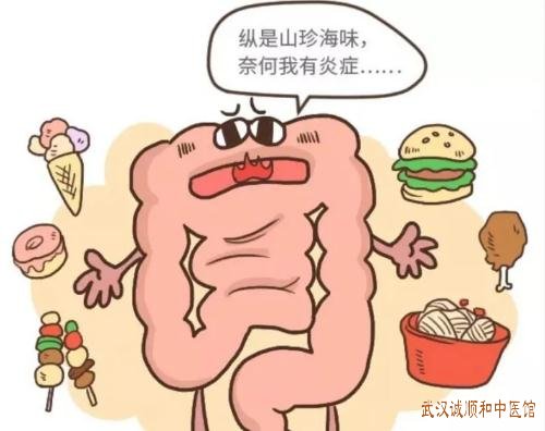 武汉街道口看消化道疾病的中医专家：溃疡性结肠炎大便脓血黏腻伴腹痛怎么调？