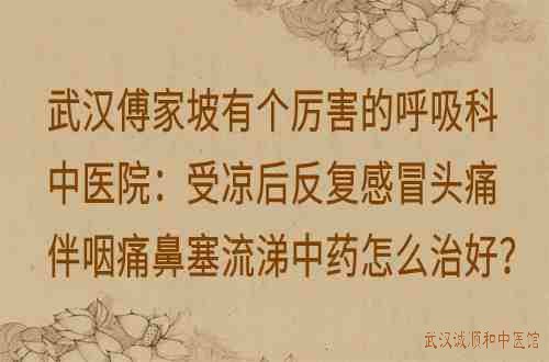 武汉傅家坡有个厉害的呼吸科中医院：受凉后反复感冒头痛伴咽痛鼻塞流涕中药怎么治好？