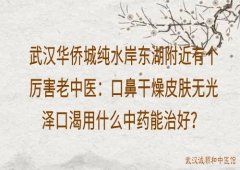 武汉华侨城纯水岸东湖附近有个厉害老中医：口鼻干燥皮肤无光泽口渴用什