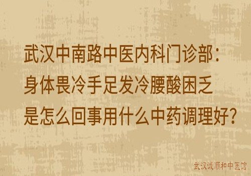 武汉中南路中医内科门诊部：身体畏冷手足发冷腰酸困乏是怎么回事用什么中药调理好？