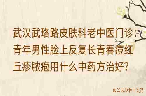 武汉武珞路皮肤科老中医门诊：青年男性脸上反复长青春痘红丘疹脓疱用什么中药方治好？