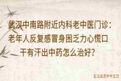 武汉中南路附近内科老中医门诊：老年人反复感冒身困乏力心慌口干有汗出