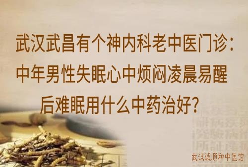 武汉武昌有个神内科老中医门诊：中年男性失眠心中烦闷凌晨易醒后难眠用什么中药治好？