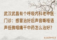 武汉武昌有个呼吸内科老中医门诊：感冒治好后声音嘶哑语声低微咽痛干中