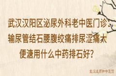 武汉汉阳区泌尿外科老中医门诊：输尿管结石腰腹绞痛排尿涩痛大便溏用什