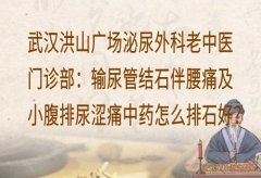 武汉洪山广场泌尿外科老中医门诊部：输尿管结石伴腰痛及小腹排尿涩痛中