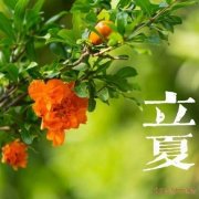 <b>今日立夏｜立夏习俗中的中医养生之道：清心护阳祛湿浊，养心护阳迎盛夏</b>