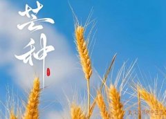 <b>今日芒种｜顺应阴阳外防暑湿，内护脾胃心静身安！</b>