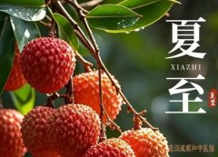 <b>今日夏至｜养阴护阳度三伏：解码节气里的养生密码</b>
