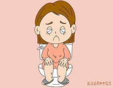 武汉光谷植物园有位脾胃病中医：老年女性粪质干结如羊屎排便费力伴怕热