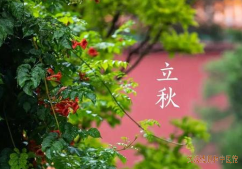 立秋养生指南|顺应时令调阴阳,润燥养肺护健康!