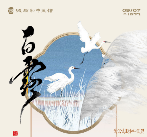 白露中医养生指南：白露至，秋意浓，防凉、防燥、润肺正当时！