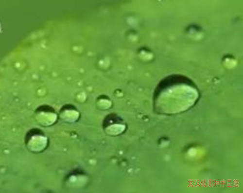 白露时节养生三大核心原则