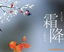 <b>今日霜降｜霜降养生攻略：御寒润燥、健脾养肺、收敛阳气！</b>