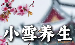 <b>小雪时节，学学中医养生——温补散冬寒，润燥降火气。</b>