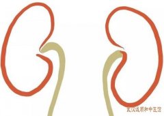 武汉水果湖治肾病中医内科门诊:老年人下肢浮肿食少纳呆伴神疲乏力以及