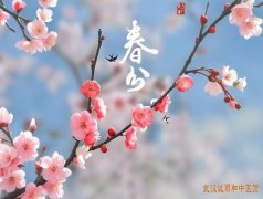 <b>今日春分!做好头腹足三保暖,全年少生病</b>