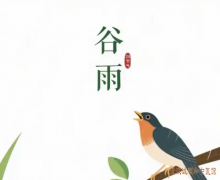 <b>谷雨时节的养生：春雨绵绵湿邪盛，中医教你调饮食适起居，畅情志动养护</b>