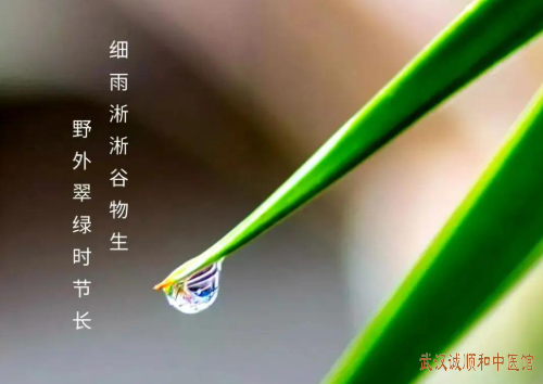 谷雨时节话养生：春雨绵绵湿邪盛，中医教你调饮食适起居，畅情志动养护正气。