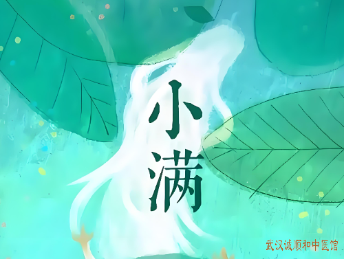 小满时节祛湿正当时：中医教你清湿邪，缓解身体疲惫感。