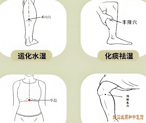 芒种养生：避开湿热，顺时养身,芒种养生全攻略