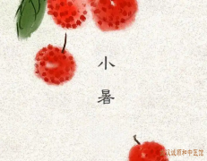 <b>今日小暑|中医平衡阴阳的养生智慧，助你安然度苦夏!</b>