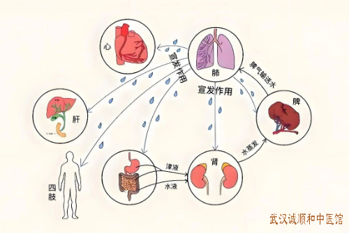 武汉有位“扫地僧”,简单方子治“怪病”!结石、结节、痛风、肿瘤……祸根竟然是它!