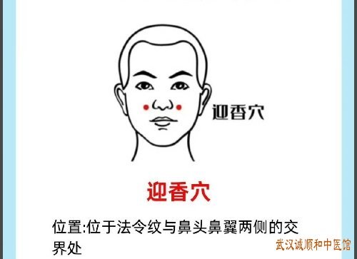 今日白露｜秋燥易伤肺，养生重“润”与“藏”